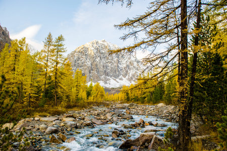 Autumn landscape with the Aktru river and Karatash peak. Altai mountains in cloudy weather. Siberia. Russiaの写真素材