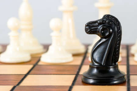 Black knight chess piece close-up and white pawns, on a white background. Chess game, strategy.の写真素材