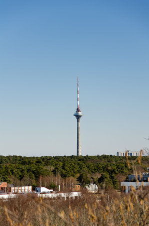 Tallinn TV tower  314 meters long  Total tower weight is approximately 20,000 tons