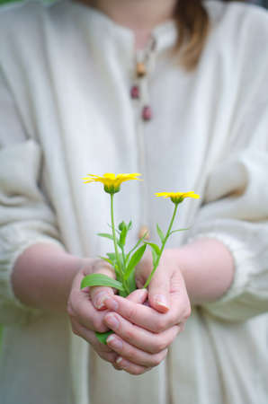 Female hands holding soil with yellow flowerの写真素材