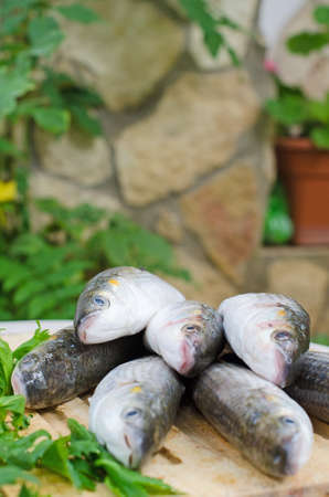 Mugil cephalus fish on the table.の写真素材