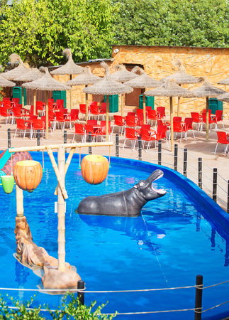 Summer outdoor cafe and children's pool.の写真素材