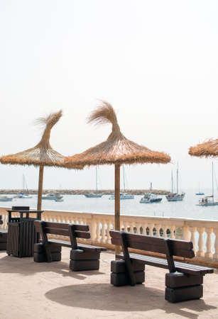 Recreation zone. Benches by the sea.の写真素材