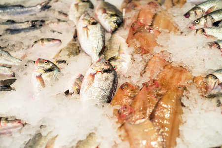 All kinds of frozen fish on the market.