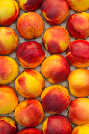 Row of ripe nectarines in supermarket.の写真素材