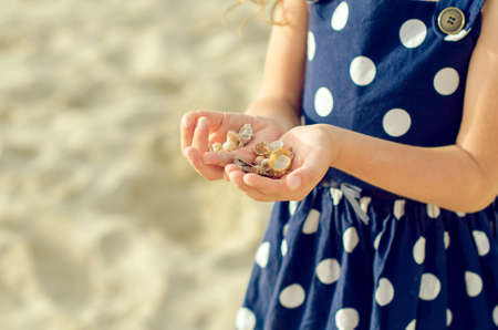 Child hands holding sea shells.の写真素材