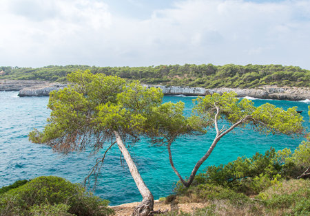 Beautiful wild tropical coast. Mediterranean sea landscape.の写真素材