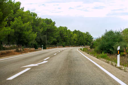 Empty asphalt road in summer.の写真素材