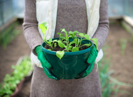 Woman's hand holding pot with seedlings.