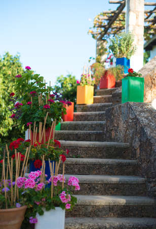 Stone stairs with flowers in front of house entrance.の写真素材