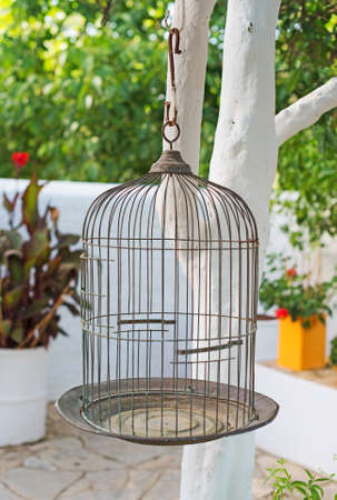 Empty bird cage hanging on tree.の写真素材