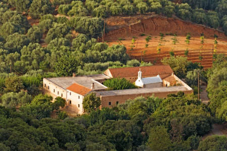 Many fruit trees on the plantation.の写真素材