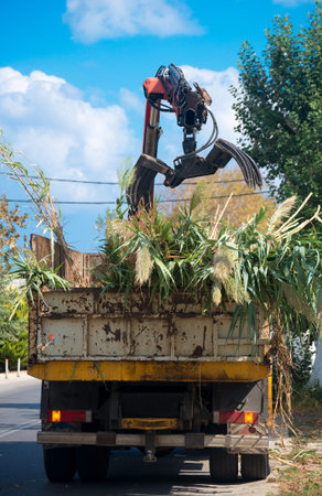 Remote manipulator collecting trees near the road.