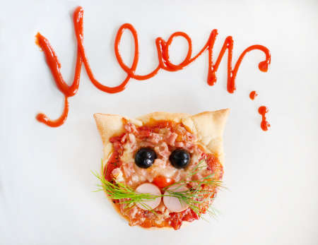 Handmade pizza in the form of cat.の写真素材