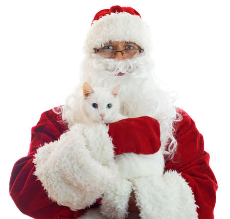 Santa Claus holding white cat. Space Isolated on white background.の写真素材