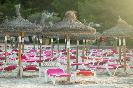 Plenty of sun loungers on the beach.の写真素材