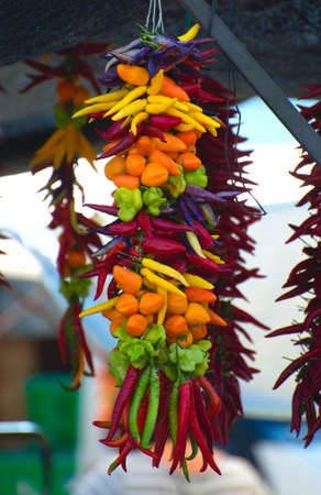 Lot of different colorful peppers on the market.の写真素材