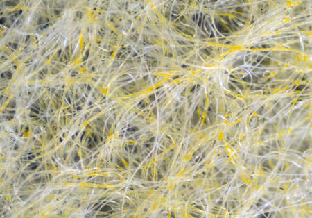 The Microscopic World. Fabric under the microscope.の写真素材