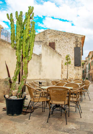Outdoor cafe with cactus in old city.の写真素材