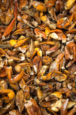 Frozen crab claws on the market.の写真素材