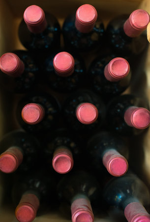 Wine bottles in the wine store. Top view.の写真素材