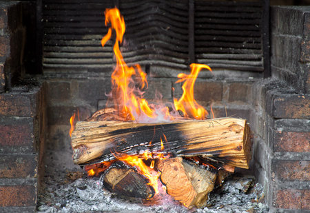 Close-up view of burning firewood in the fireplace.