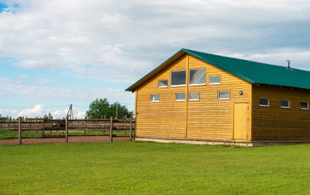 Ostriches in the paddock on the farm.のeditorial素材