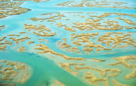 Blooming ocean in the Algarve region, Portugal.の写真素材