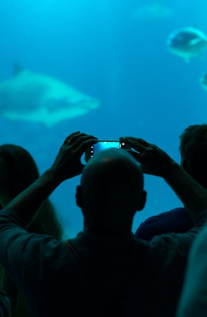 Many people observe the fish in the oceanarium.