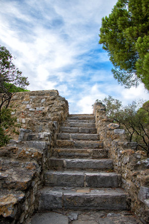 Stone staircase with trees in park.の写真素材