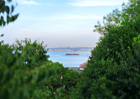Bulk carrier ship in the bay.