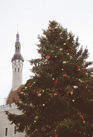 Christmas tree at the Town Hall Square in Tallinn.の写真素材