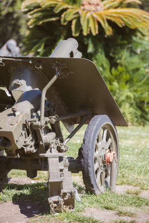 Old war cannon in the forest.の写真素材