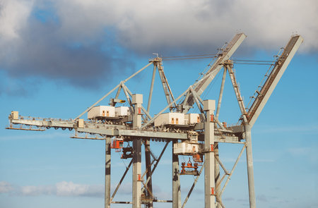 Heavy industrial sea port container cranes.