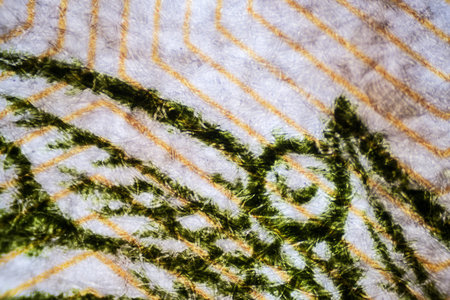 100 roubles close-up. The Microscopic World.