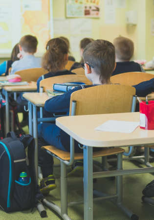 Children in class at school. Back view.の写真素材