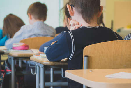 Children in class at school. Back view.の写真素材