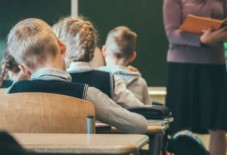 Children and teacher in class at school. Back view.の写真素材