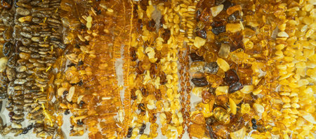 Lot of beads from amber. Close-up view.の写真素材