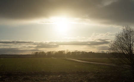 Portrait of Sunset over the forest.の写真素材