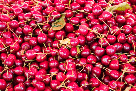 Lot of ripe red cherries in the supermarket.の写真素材