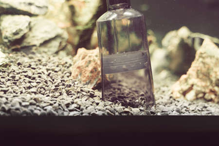 Siphon gravel cleaner tool in the aquarium.の写真素材