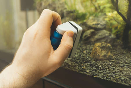 Male hand cleaning aquarium using magnetic cleaner.の写真素材