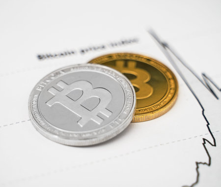 Physical bitcoins and Bitcoin Price Index on the paper.