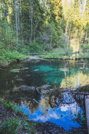Popular Blue Springs of Saula in Estonia.の写真素材