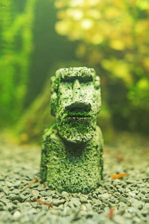 Small Moai statue in the freshwater aquarium.の写真素材