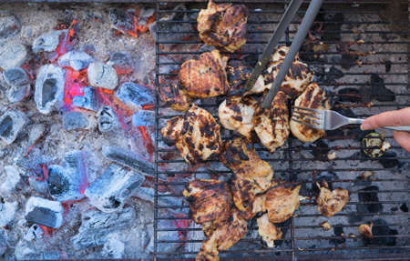 The grill season is open. Grilled turkey on backyard.の写真素材