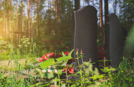 Memorial stone in the forest cemetery.の写真素材