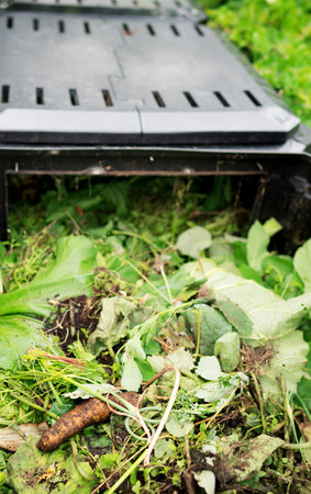 Top view inside of compost container bin outdoors.