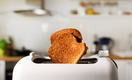 Two roasted toast bread popping up of toaster.
